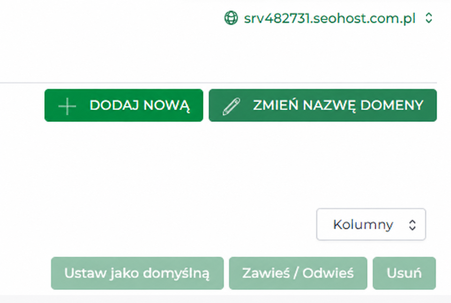 Przycisk dodania nowej domeny do hostingu SEOHOST