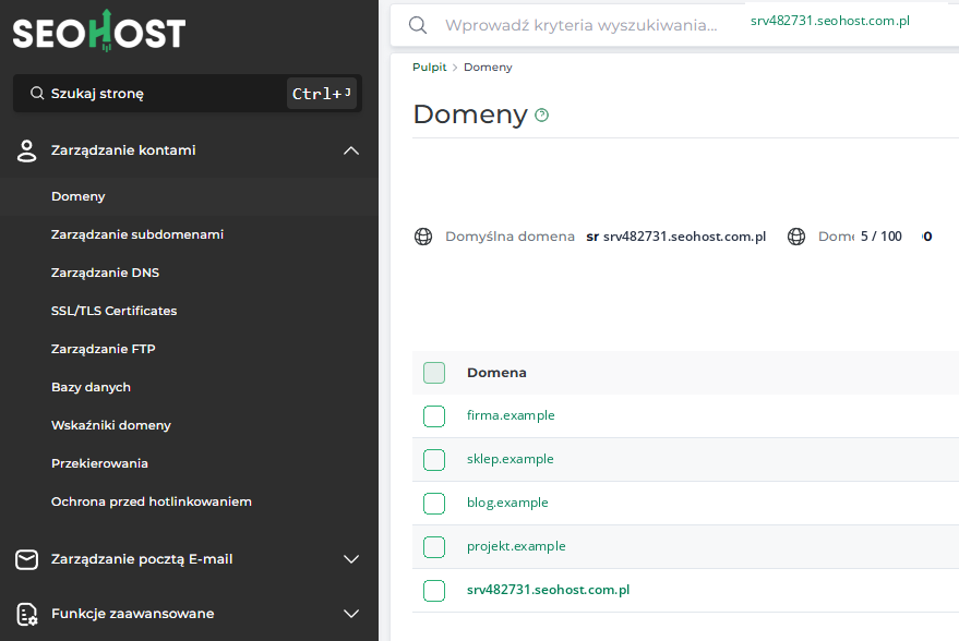 Lista domen przypisanych do serwera DirectAdmin w SEOHOST