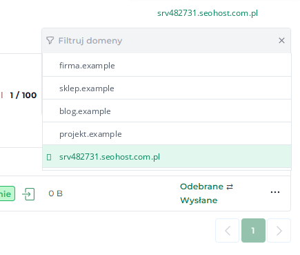 Wybór domeny w górnym menu DirectAdmin SEOHOST